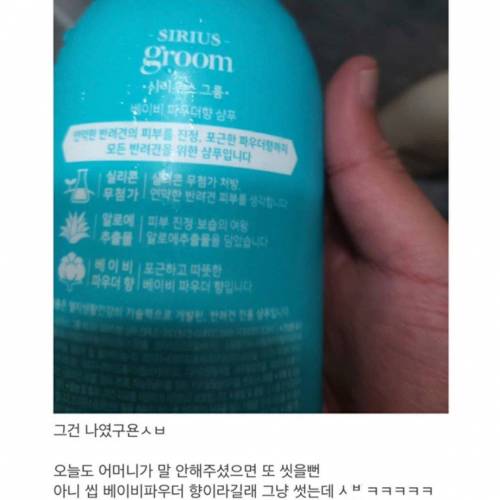 반년 넘게 개샴푸쓴 사람.jpg