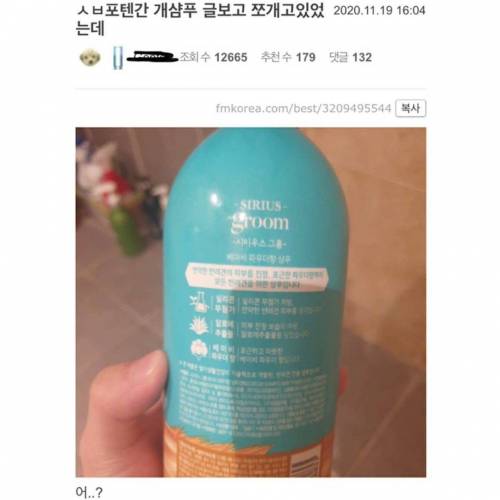 반년 넘게 개샴푸쓴 사람.jpg