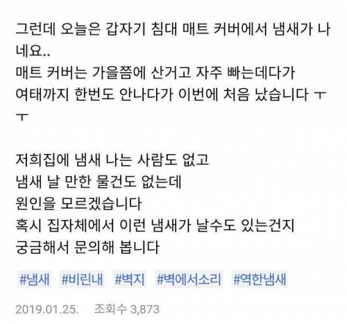 집에서 어항 물비린내가 나요.jpg