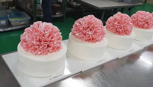 케이크 공장에서 카네이션 케이크 만드는 과정.mp4