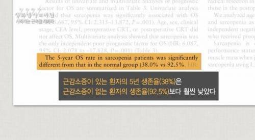 20대와 70대의 허벅지 단면 차이.jpg