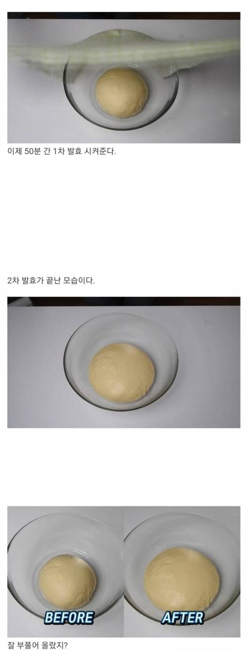 [스압] 물에 씻어서 만든 빵이 있다고 ???