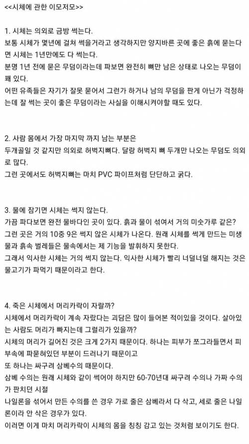 시체에 관한 이모저모 .jpg