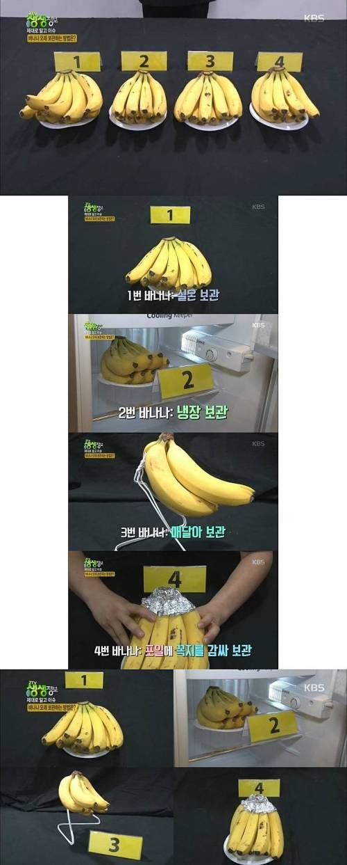 바나나 보관방법에 따른 변화비교.jpg