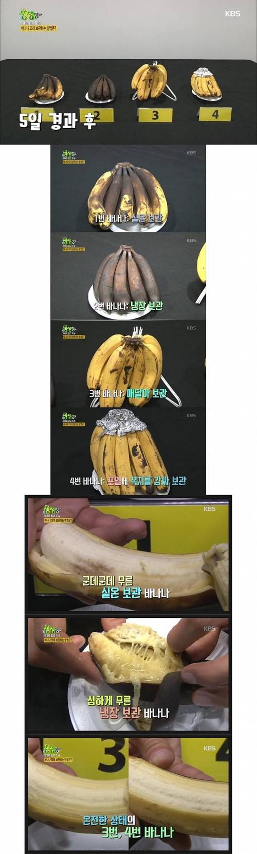 바나나 보관방법에 따른 변화비교.jpg
