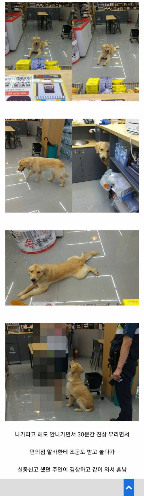 편의점 놀러온 골댕이.jpg