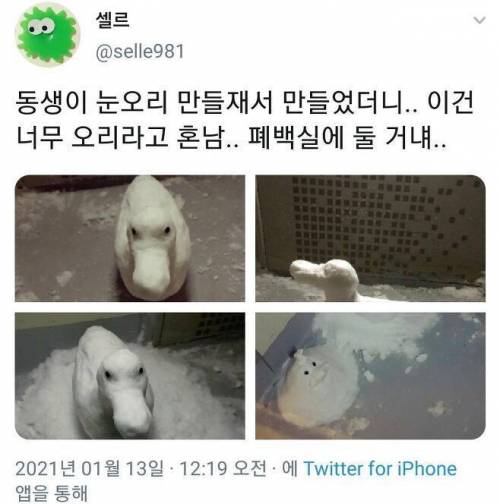 동생이 눈오리 만들재서 만들었는데 혼남