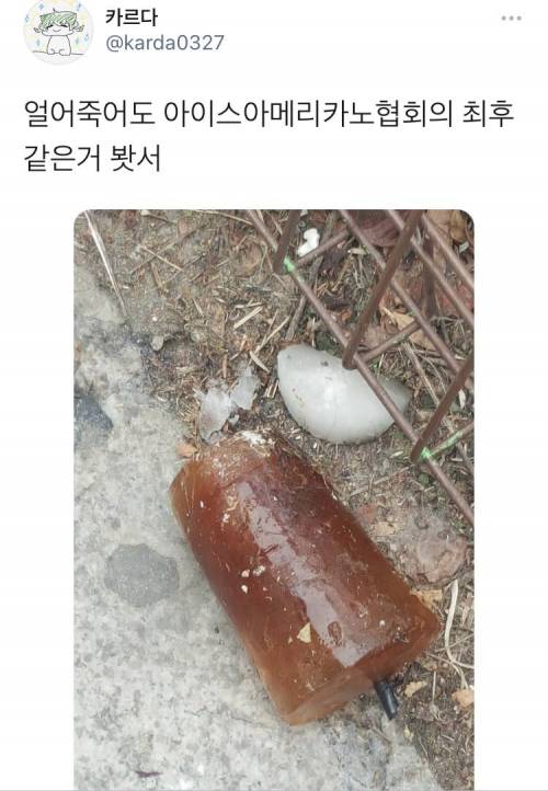 얼죽아의 최후.jpg