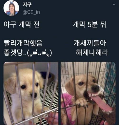 야구팬 특징.jpg