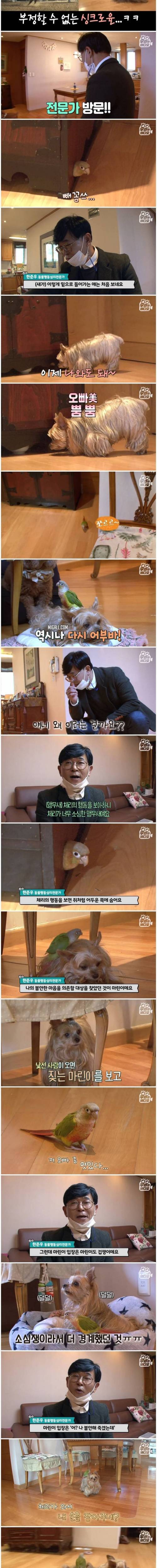 [스압] 어부바 중독 개새 커플.jpg