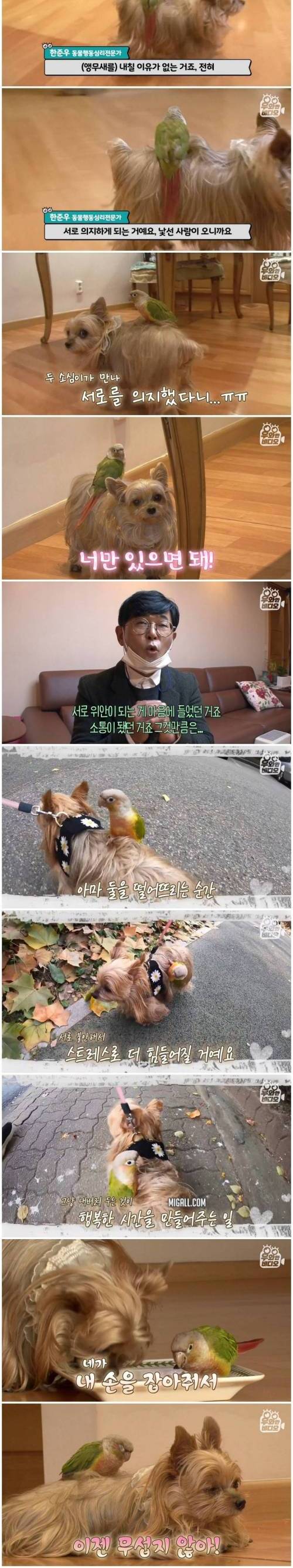 [스압] 어부바 중독 개새 커플.jpg