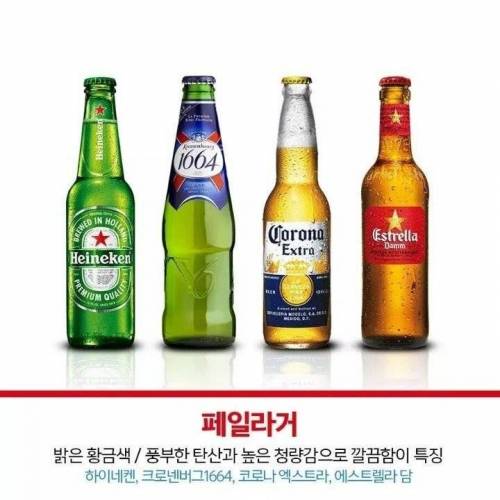 알기쉽게 정리한 맥주 종류.jpg