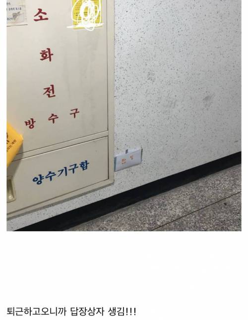 나미야 잡화점의 기적을 감명깊게 읽은듯한 옆집애기