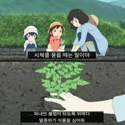 의외의 팁.jpg