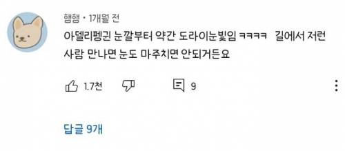 새끼펭귄을 구하러온 남극 일짱 아델리 펭귄