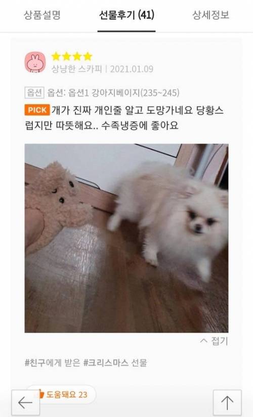 강아지모양 실내화 사면 안되는 이유