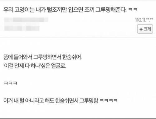 우리 고양이는 내가 털조끼만 입으면.jpg