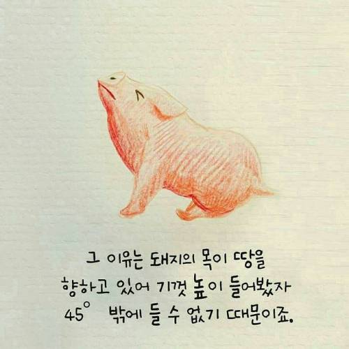 [스압] 넘어짐이 가져다 준 선물.jpg