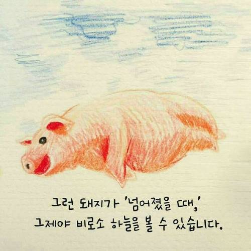 [스압] 넘어짐이 가져다 준 선물.jpg