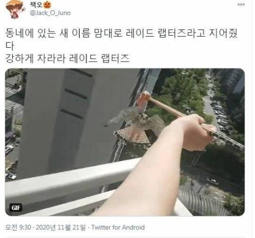 동네 길새 밥주기.jpg