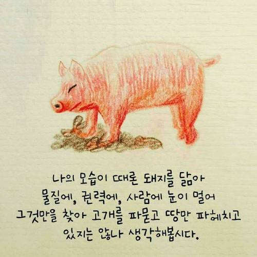 [스압] 넘어짐이 가져다 준 선물.jpg