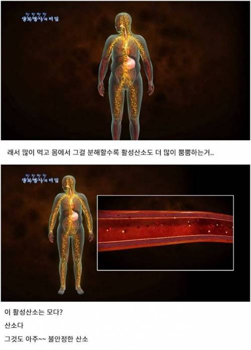 과식하면 빨리 늙는 이유.jpg