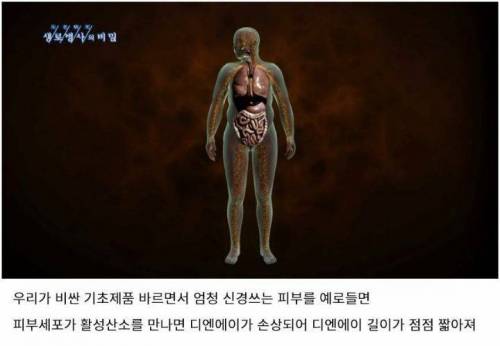 과식하면 빨리 늙는 이유.jpg