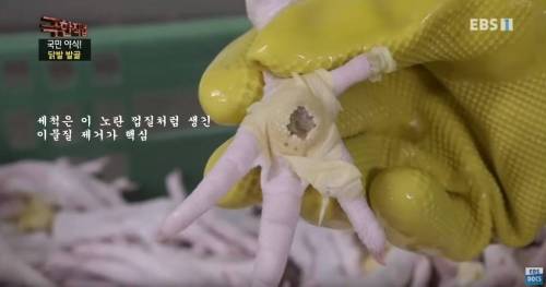 [스압] 우리나라에서 뼈없는 닭발이 만들어지는 과정