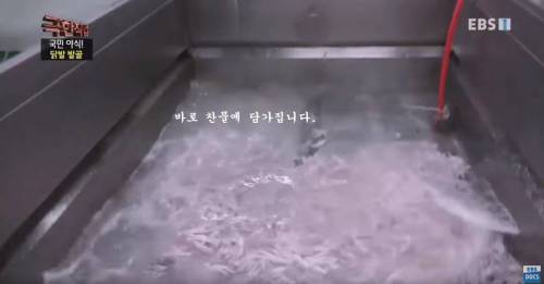 [스압] 우리나라에서 뼈없는 닭발이 만들어지는 과정