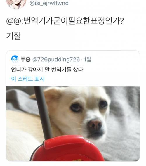 번역기가 굳이 필요없는 표정.jpg