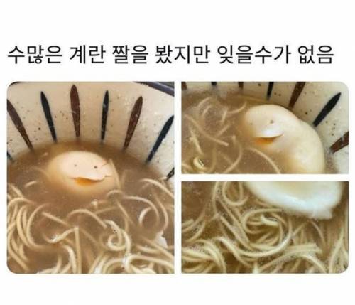 잊을 수가 없는 계란 짤.jpg