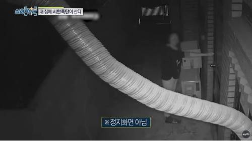 [스압] 우리집에 이상한 여자가 산다, 집주인에게 나가라는 세입자.jpg