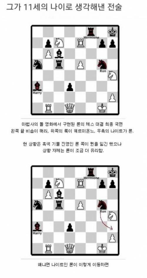 [스압] 론 위즐리의 체스 실력.jpg