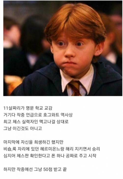 [스압] 론 위즐리의 체스 실력.jpg