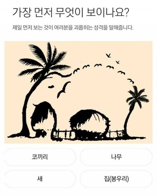 가장 먼저 무엇이 보이나요?