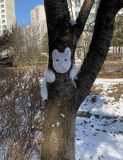 [스압] 갑자기 분위기 눈사람파티된 아파트 단지