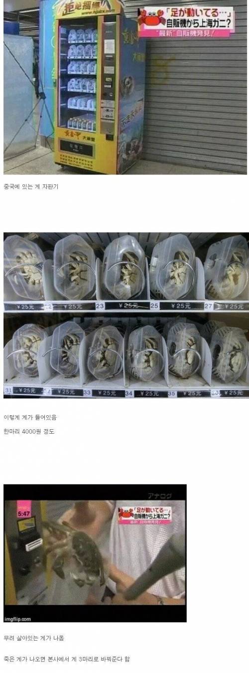 자판기가 상당히 무서운게.jpg