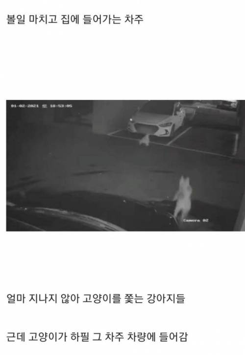최근 발생한 심각한 집단폭행..mp4