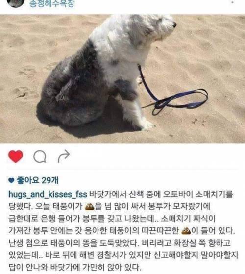 똥매치기.jpg