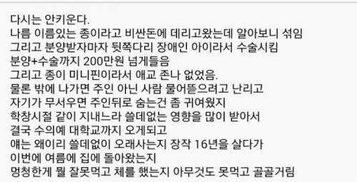다신 개 안키운다 .jpg