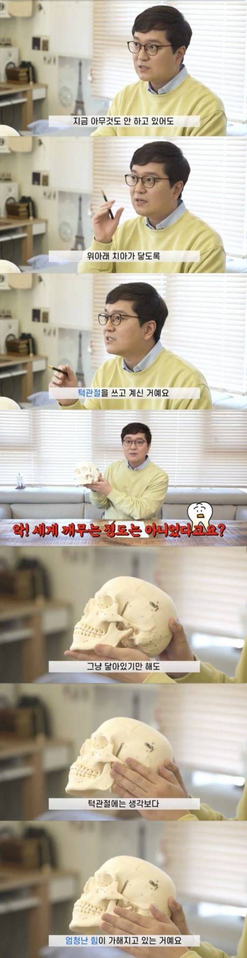 지금 본인 윗어금니 아래어금니가 붙어있는지 생각하고 들어와보세요