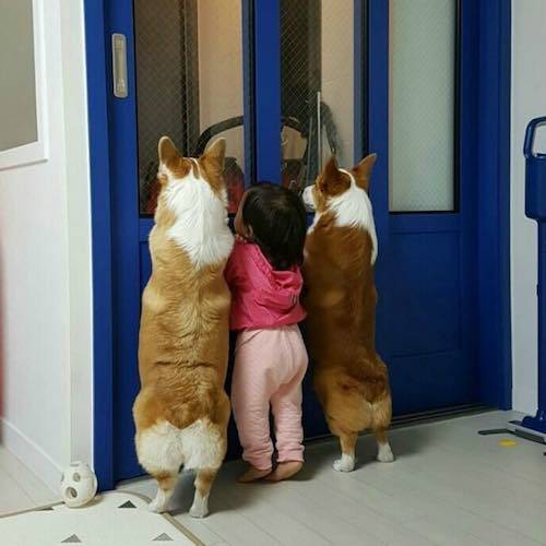 아빠 퇴근 기다리는 딸내미와 친구들