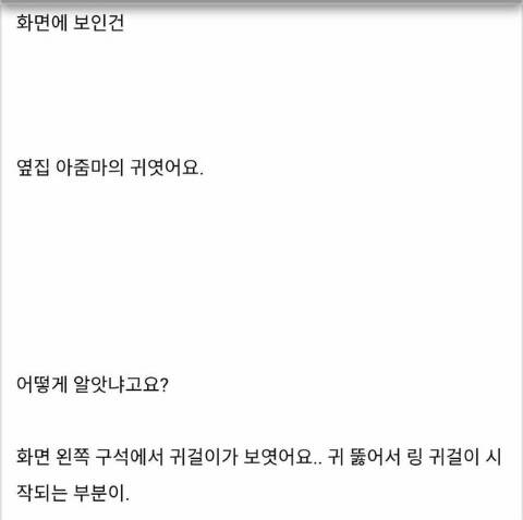 [스압] 이상한 옆집 아줌마.jpg