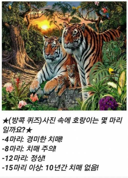 호랑이가 몇마리일까?.jpg