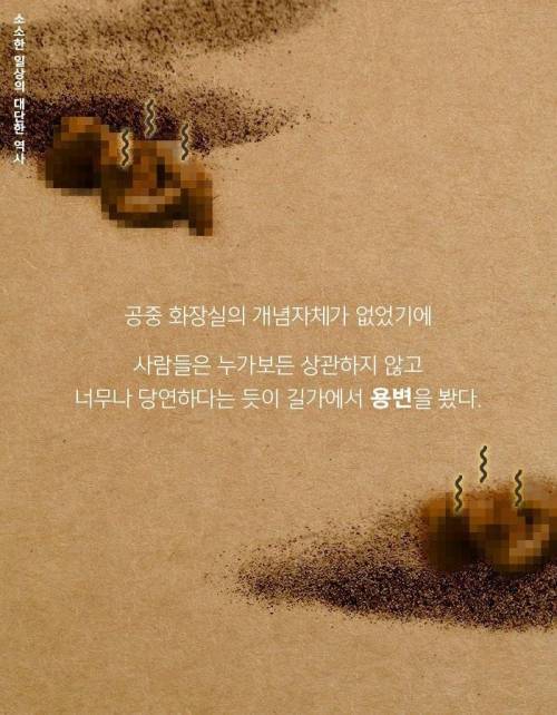 [스압] 인류와 함께한 똥의 역사.jpg
