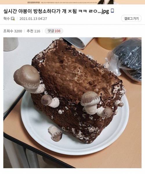 방청소하는 디시인.jpg