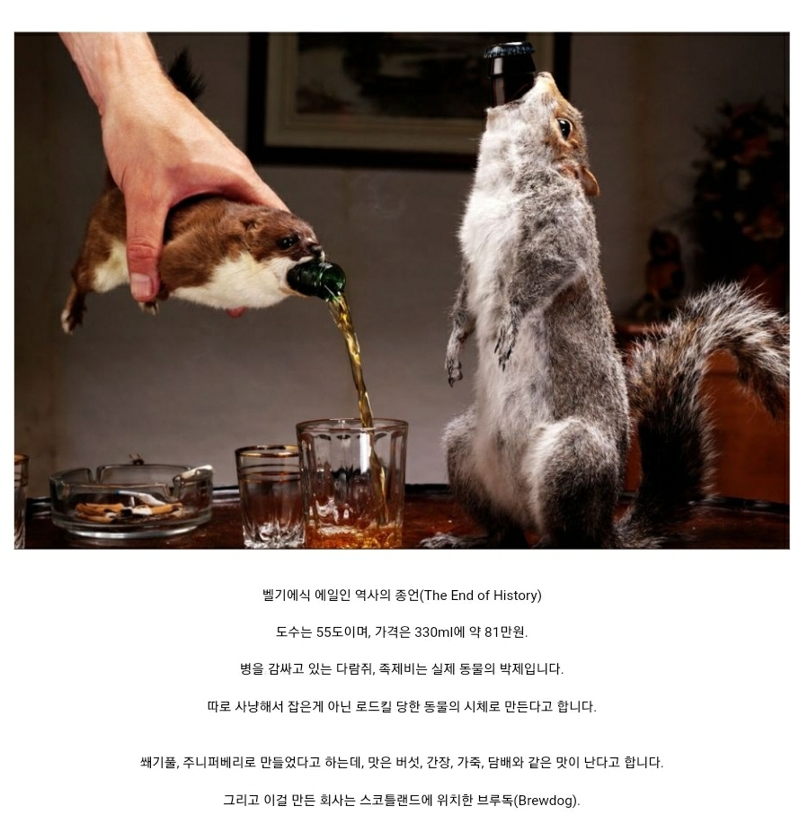 81만원짜리 맥주.jpg