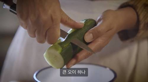 [스압] 빅토리아 시대 영국 귀족들이 먹던 오이(?) 아이스크림.jpg
