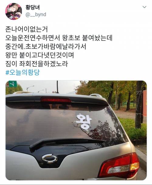 신분 상승한 초보운전자.jpg