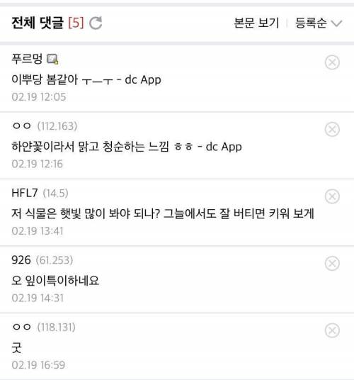 디시인사이드 '식물 갤러리' 근황..